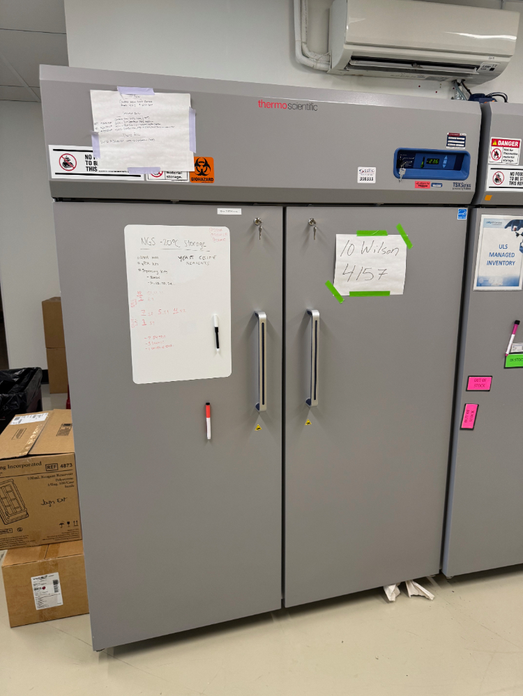 Image of Thermo TSX Series -20C Freezer